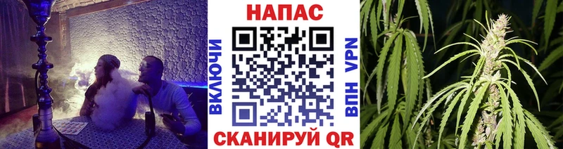 Бошки Шишки OG Kush  купить наркотики цена  Новая Ладога 